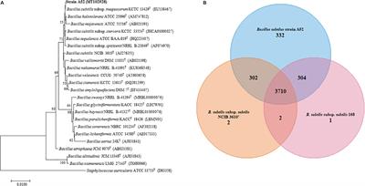 Surfactin Like Broad Spectrum Antimicrobial Lipopeptide Co-produced With Sublancin From Bacillus subtilis Strain A52: Dual Reservoir of Bioactives